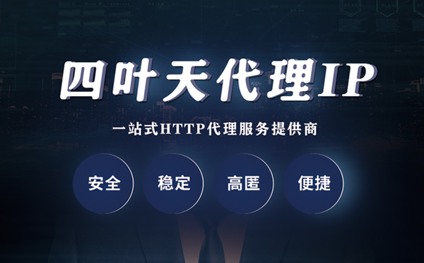 【陇南代理IP】代理ip客户端使用教程