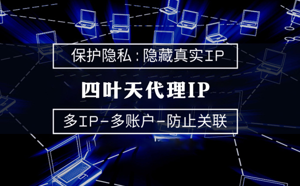 【陇南代理IP】服务器代理ip如何选择？如何挑选服务器代理商